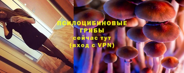 эйфоретик Костерёво